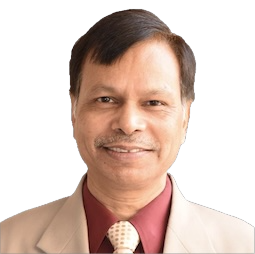 Prof. M. P. Gupta -  Advisor